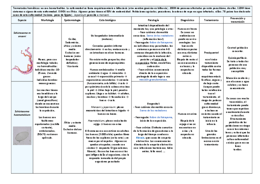 Miniatura del documento tema-16.pdf