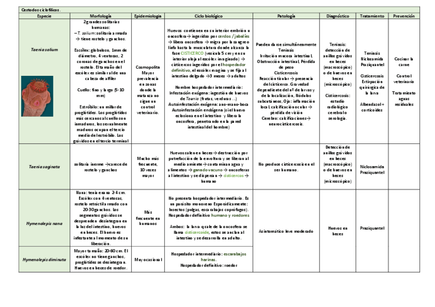 Miniatura del documento tema-19.pdf