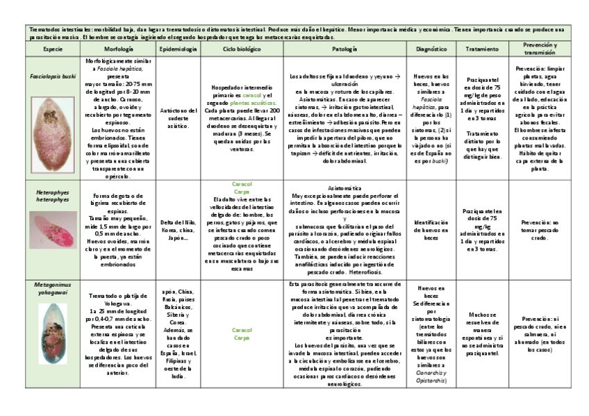 Miniatura del documento tema-15.pdf