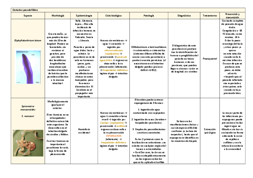 Miniatura del documento tema-18.pdf