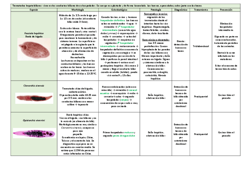 Miniatura del documento tema-14.pdf