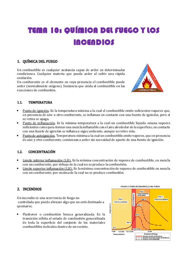 Miniatura del documento TEMA-10-QUIMICA-DEL-FUEGO-Y-DE-LOS-INCENDIOS-w.pdf