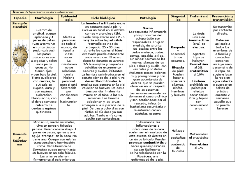 Miniatura del documento tema-28.docx
