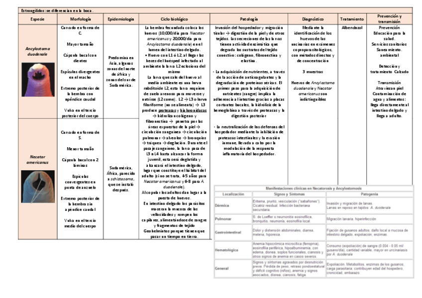 Miniatura del documento tema-23.pdf