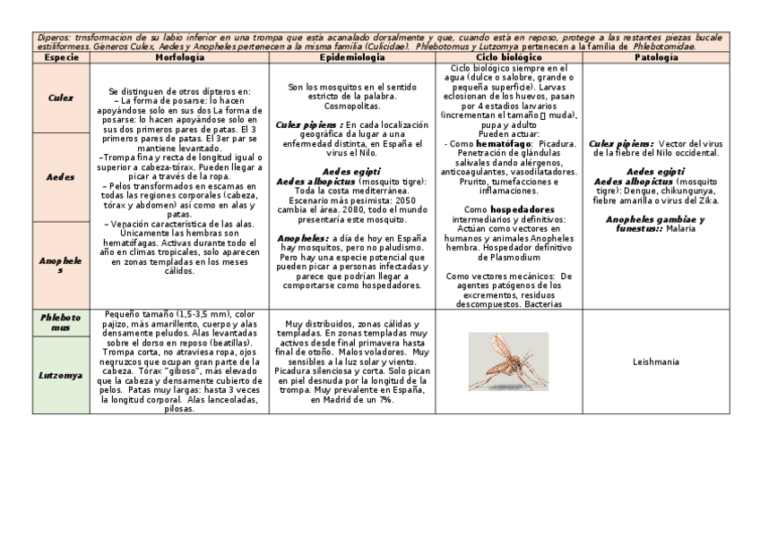 Miniatura del documento tema-30.docx