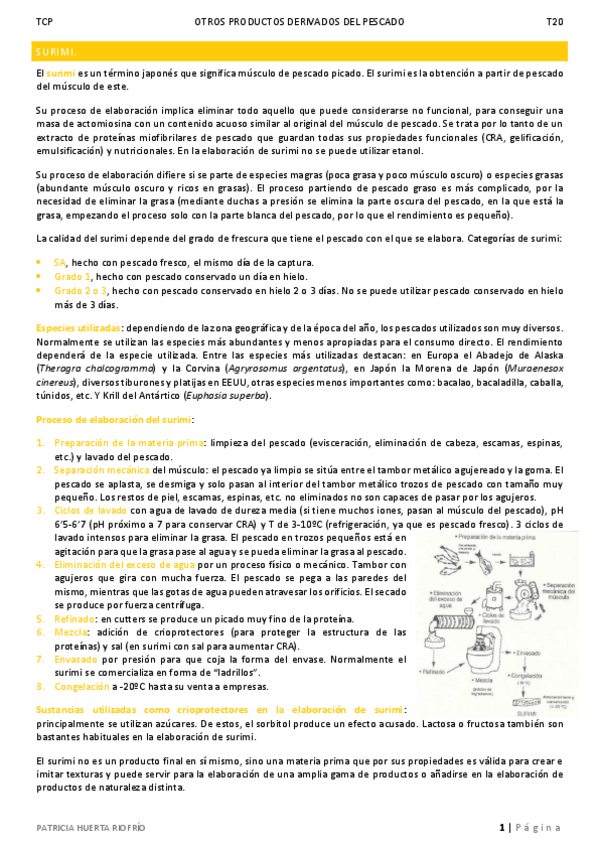 Miniatura del documento T20.pdf