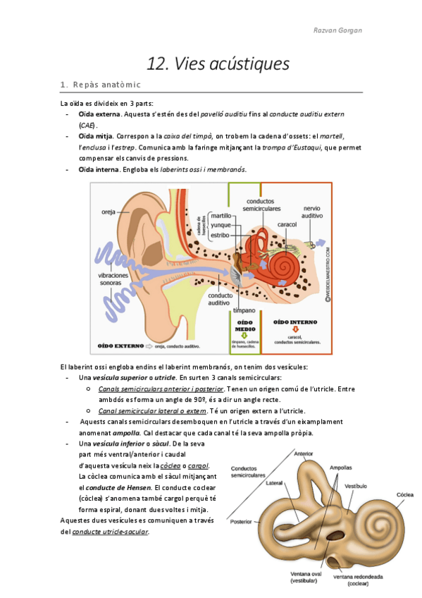 Miniatura del documento T12.pdf