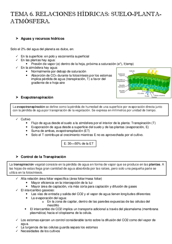 Miniatura del documento TEMA-6.pdf