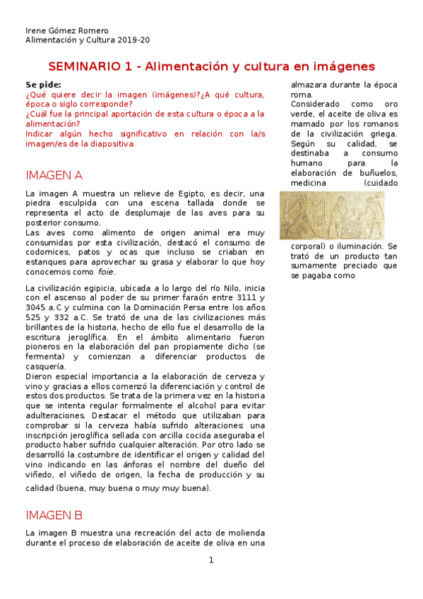 Miniatura del documento SEMINARIO-1-Imagenes.docx