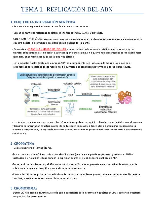 Miniatura del documento TEMA 1.pdf