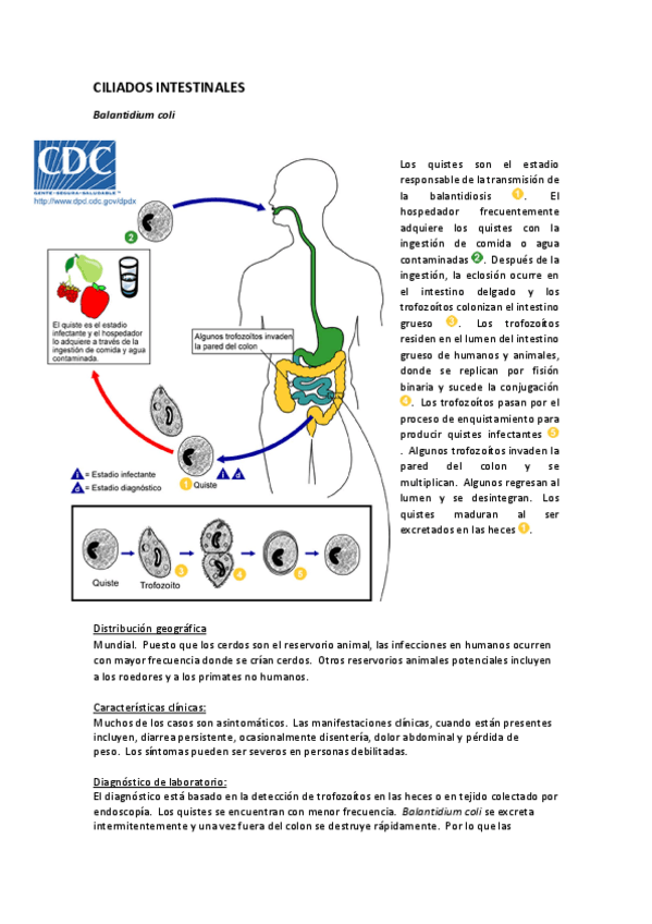 Miniatura del documento PARASITO-RESUMEN.pdf