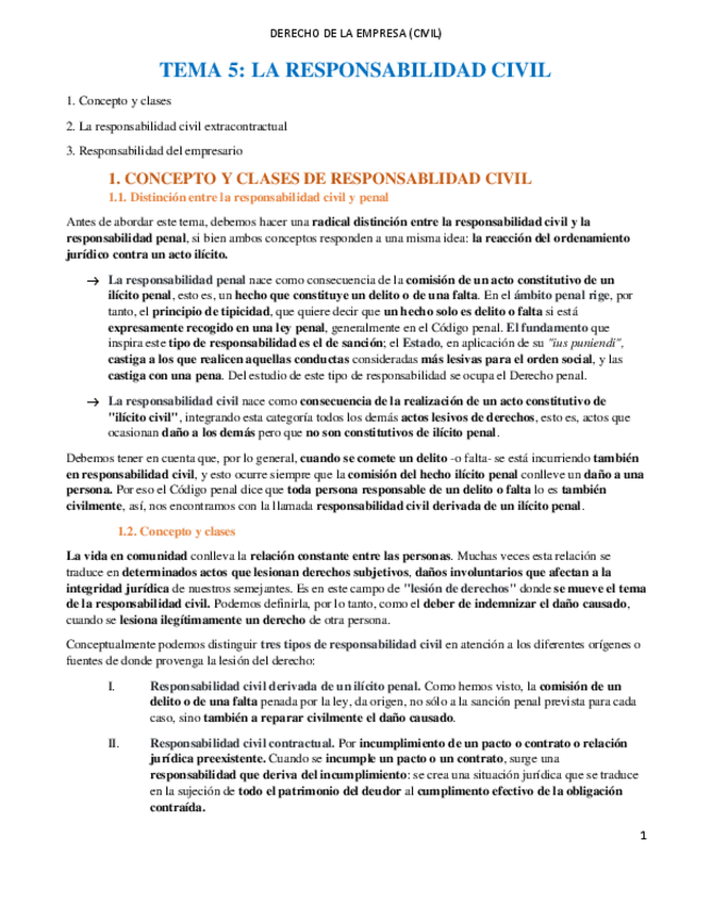 Miniatura del documento TEMA 5 CIVILRESUMIDO.pdf
