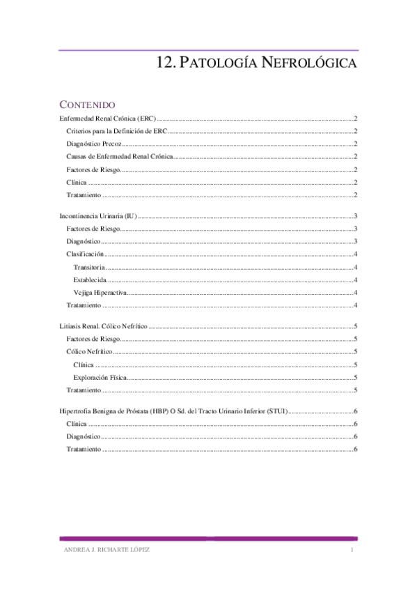 Miniatura del documento 12.pdf