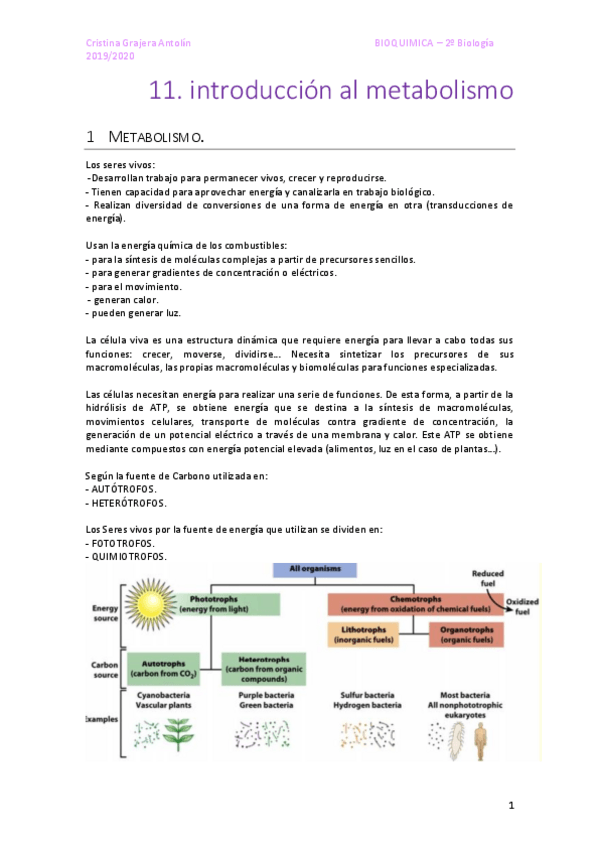 Miniatura del documento BIOQU11-Metabolismo-I.pdf