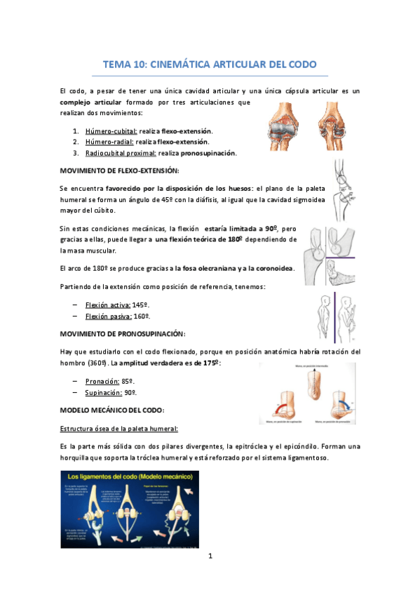 Miniatura del documento TEMA 10 ARTICULACION CODO Y MUÑECA