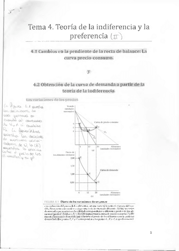 Miniatura del documento Tema 4.pdf
