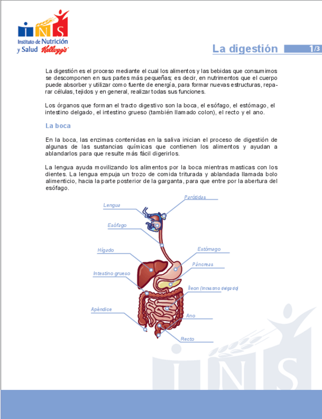Miniatura del documento LA DIGESTIÓN.pdf