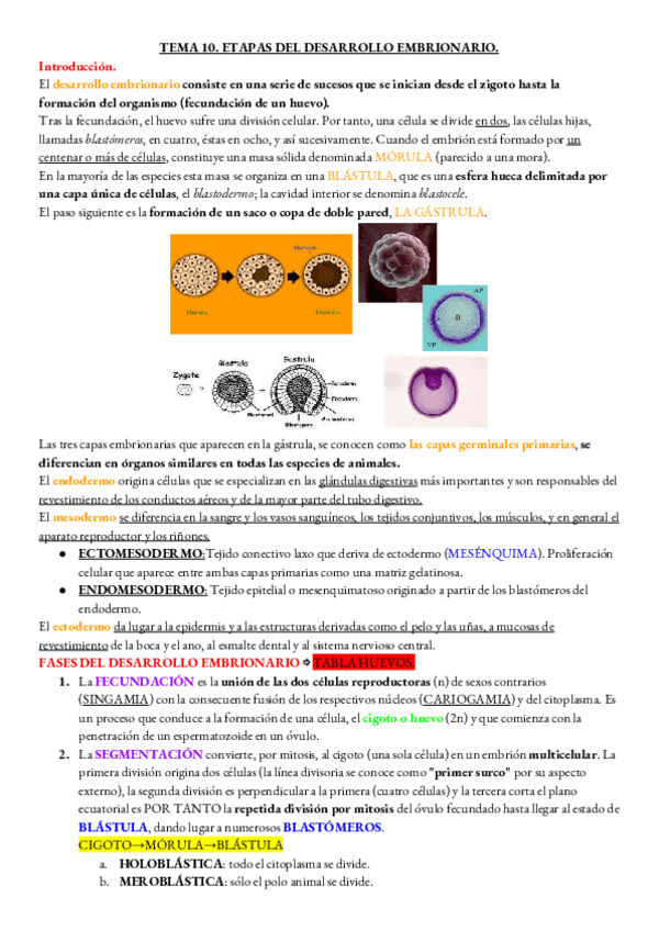 Miniatura del documento BIOLOGIA-TEMA-10.pdf