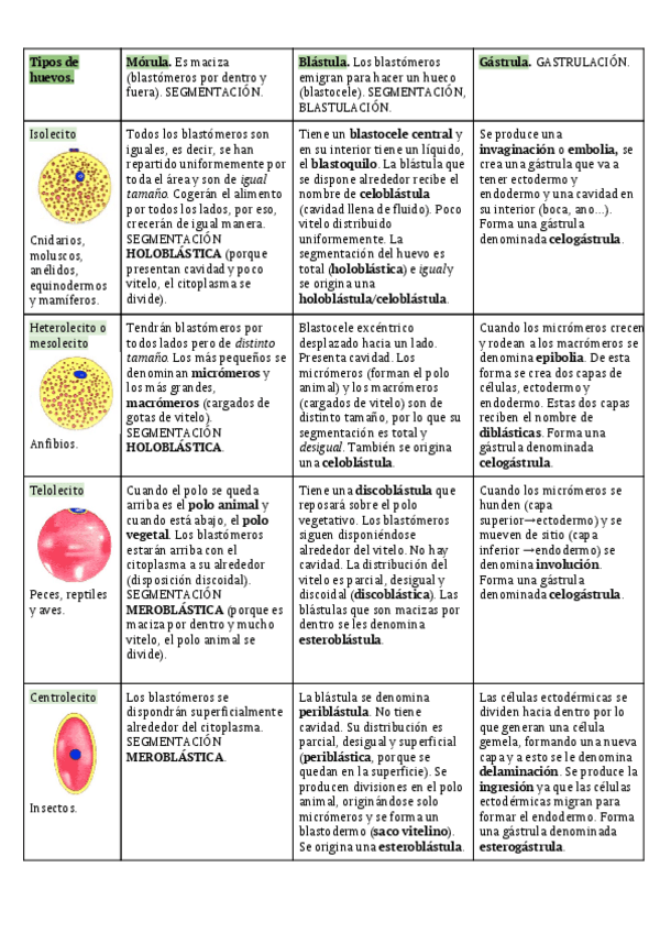 Miniatura del documento EXAMEN-TABLA-TIPOS-DE-HUEVOS.pdf