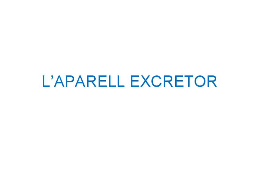 Miniatura del documento LAPARELLEXCRETOR.pdf