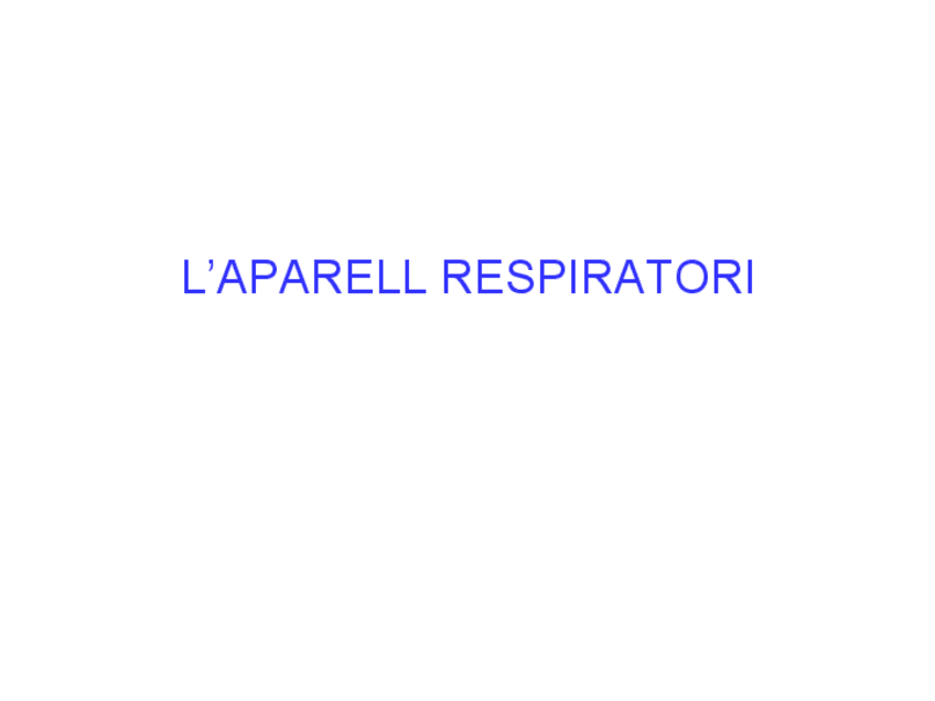 Miniatura del documento LAPARELLRESPIRATORI.pdf