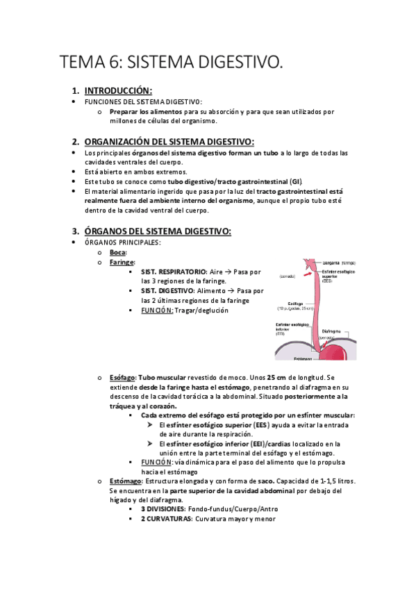 Miniatura del documento TEMA-6.pdf