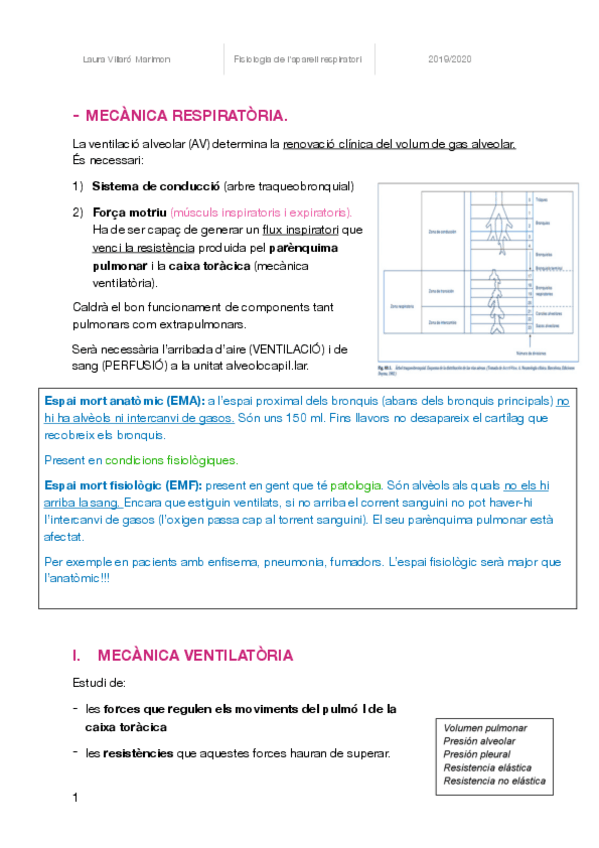 Miniatura del documento MECANICA-RESPIRATORIA.pdf