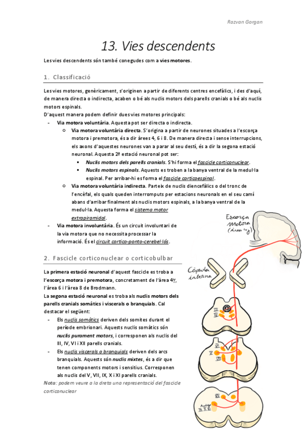 Miniatura del documento T13.pdf