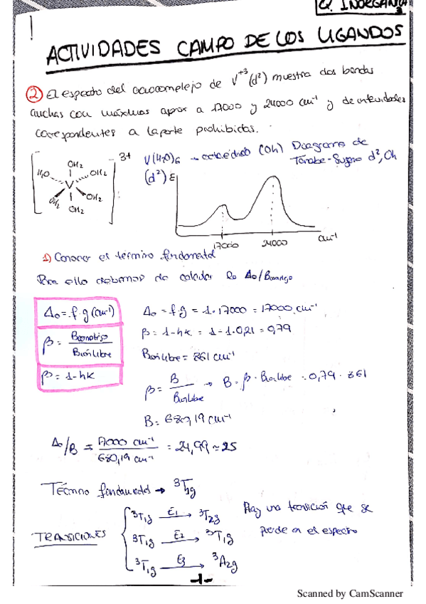 Miniatura del documento PROBLEMAS-DE-CAMPO-DE-LOS-LIGANDOS.pdf