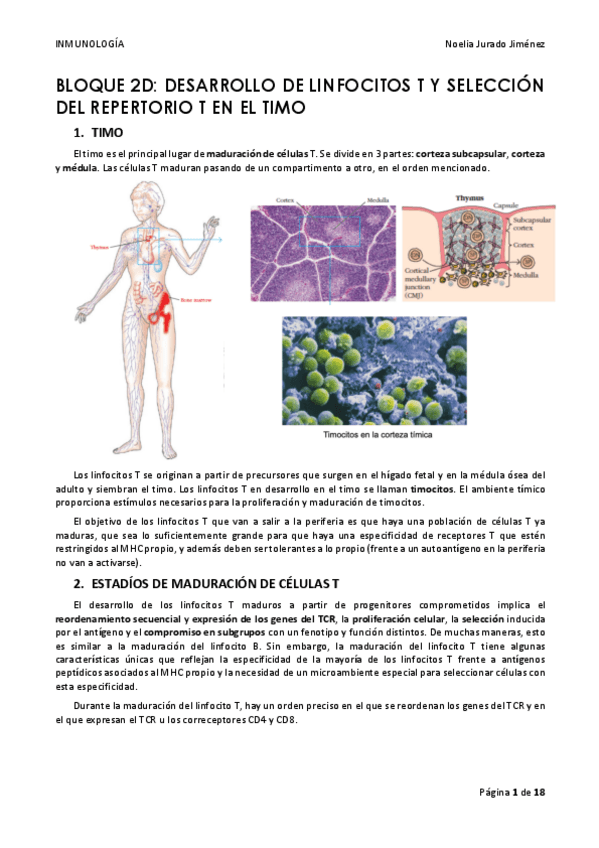 Miniatura del documento BLOQUE-2D.pdf