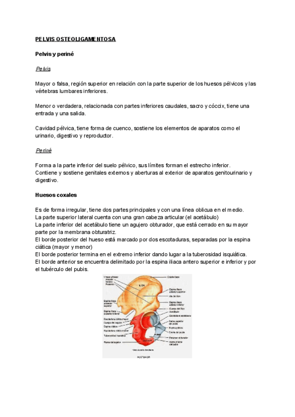 Miniatura del documento Tema-5.pdf