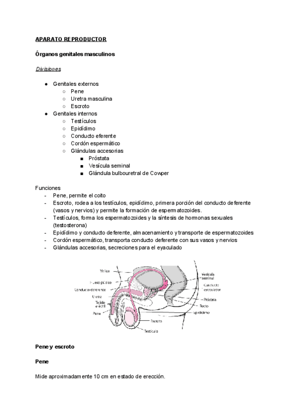 Miniatura del documento Tema-12.pdf