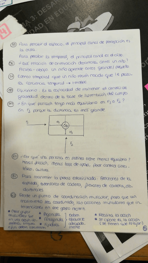 Miniatura del documento WhatsApp-Image-2018-06-25-at-14.jpg