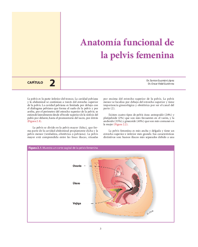 Miniatura del documento PELVIS FEMENINA.pdf