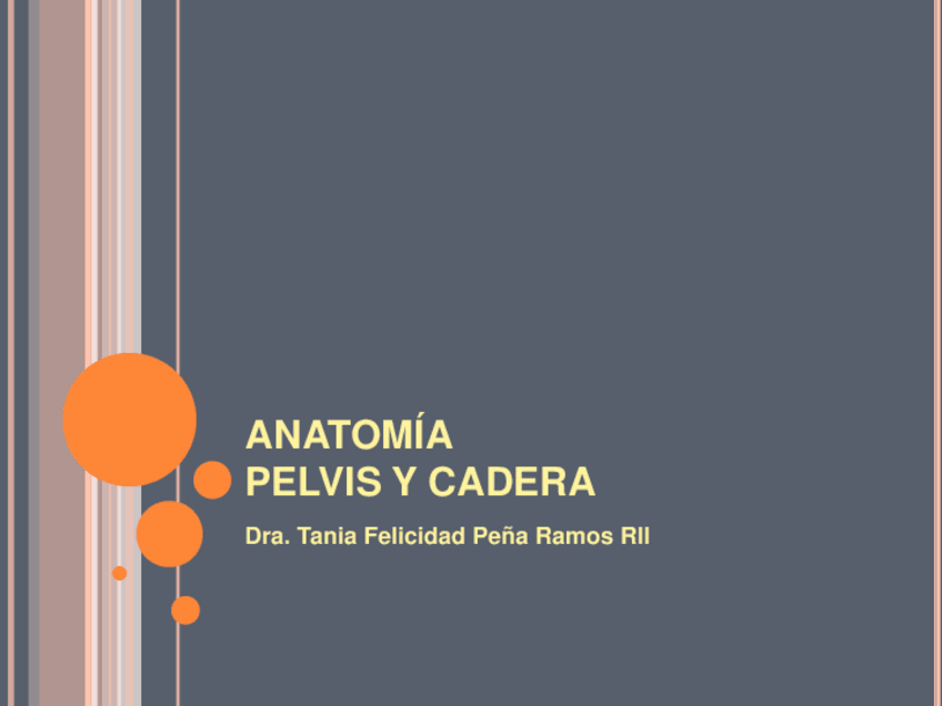 Miniatura del documento ANATOMIA PELVIS Y CADERA.pdf