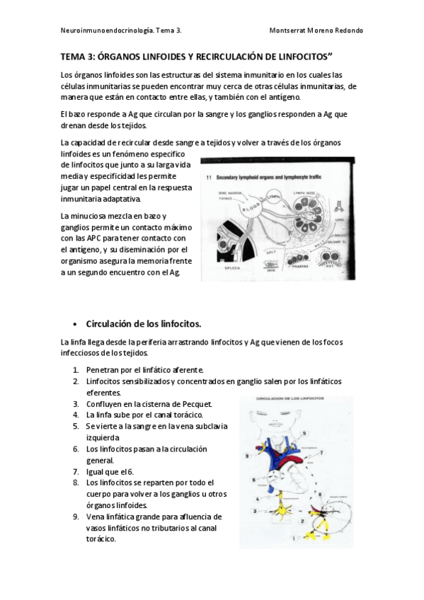 Miniatura del documento TEMA-3.pdf