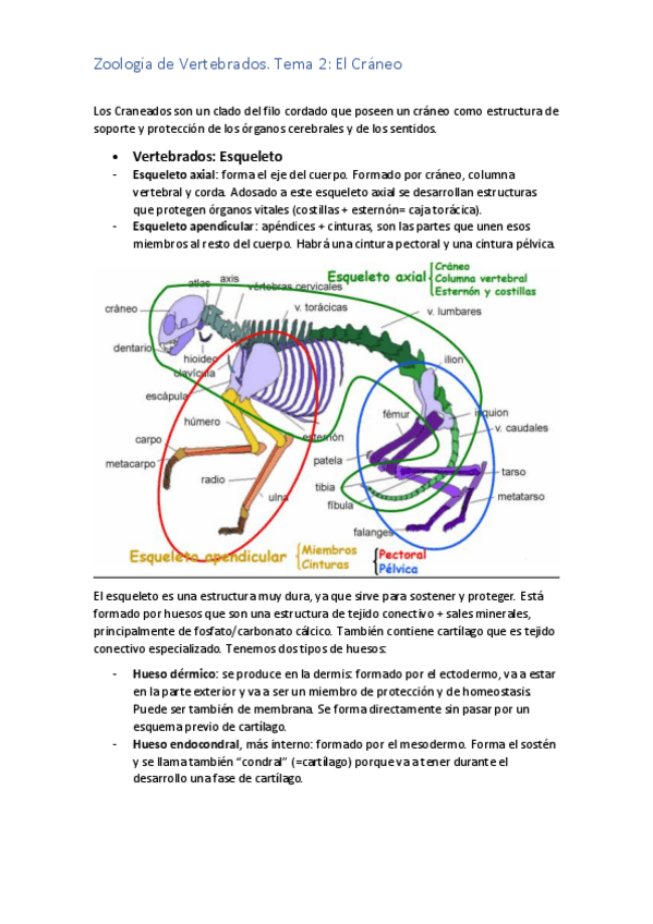 Miniatura del documento TEMA-2-ZOO.pdf