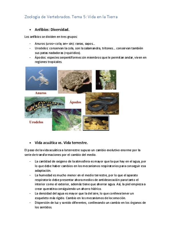 Miniatura del documento TEMA-5-ZOO.pdf