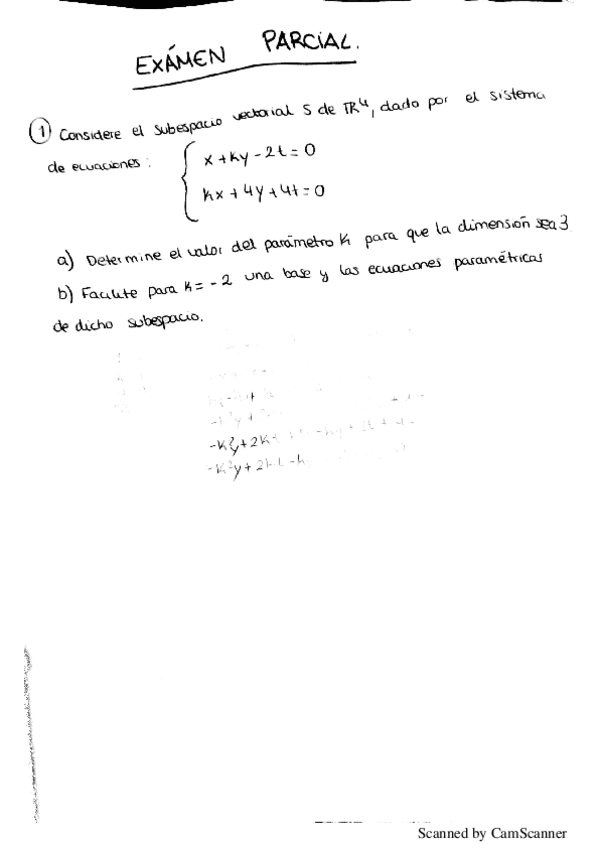 Miniatura del documento EXAMEN-RESUELTO.pdf