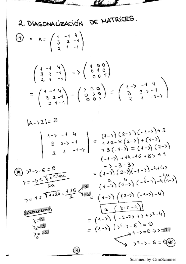 Miniatura del documento TEMA-2-DIAGONALIZACION-DE-MATRICES.pdf