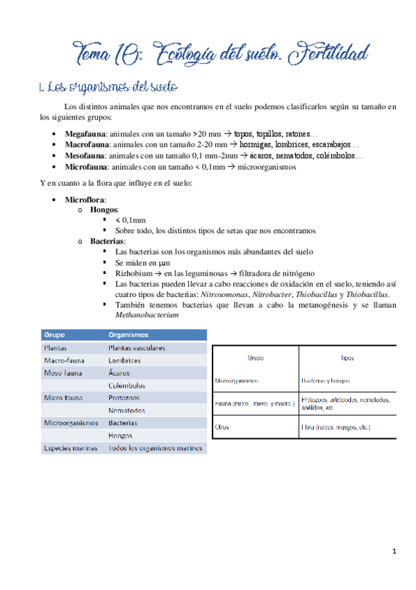 Miniatura del documento Tema-10.pdf