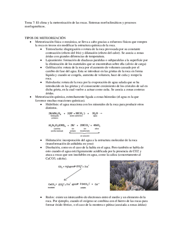 Miniatura del documento Temas-7-8.pdf