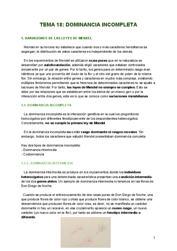 Miniatura del documento TEMA-18-Biologia-W.pdf