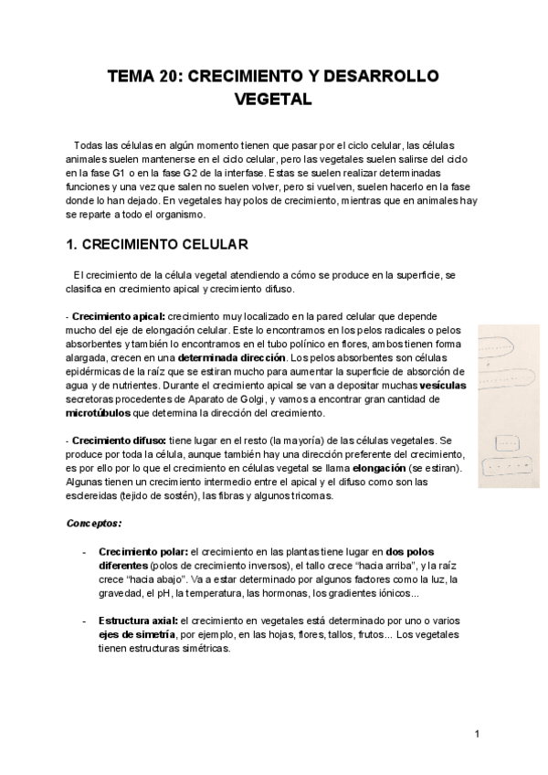 Miniatura del documento Tema-20-Biologia-W.pdf