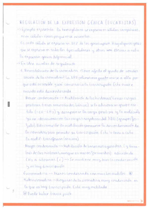 Miniatura del documento Temas-8-11.pdf