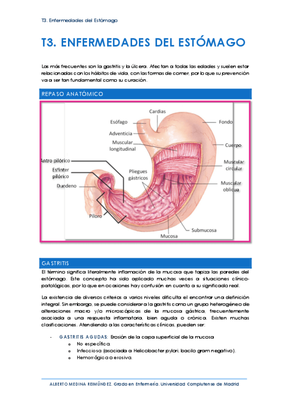 Miniatura del documento T3. Enfermedades del Estómago.pdf