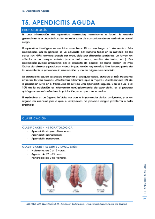 Miniatura del documento T5. Apendicitis Aguda.pdf