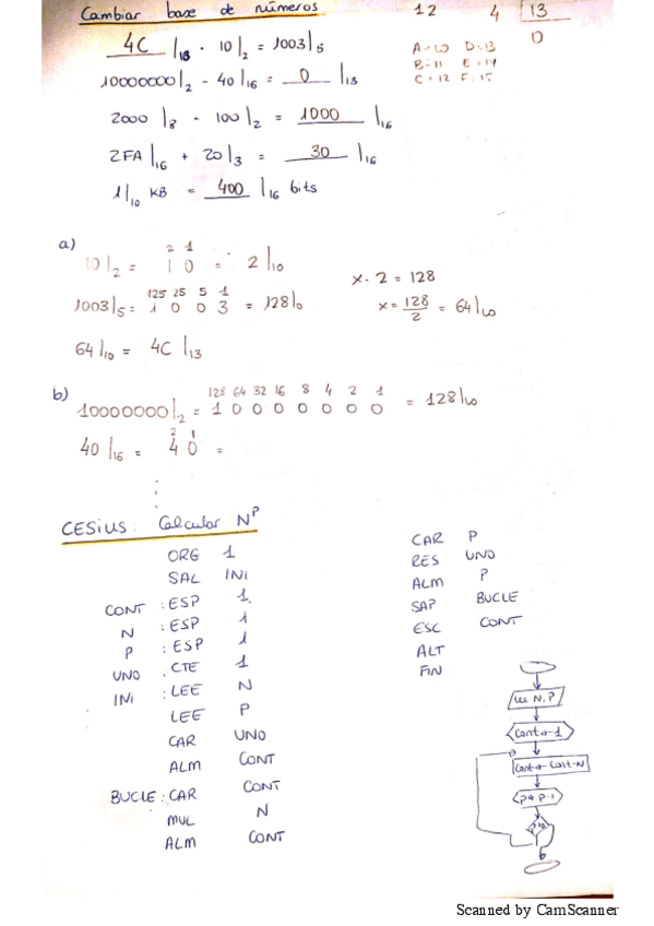Miniatura del documento Cesius.pdf