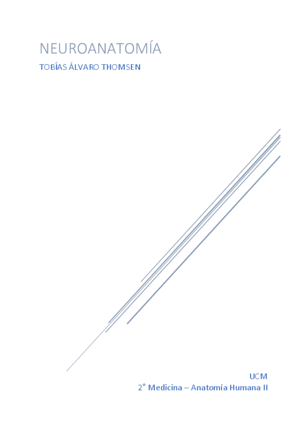 Miniatura del documento NEUROANATO-1-MACROMORFOLOGIA-GENERAL-WUOLAH.pdf