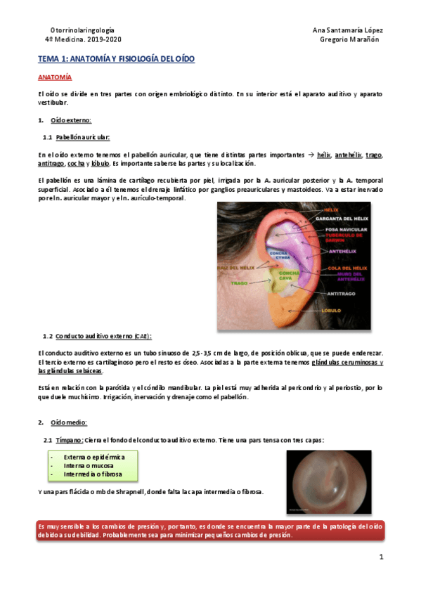 Miniatura del documento Tema-1-Anatomia-y-fisiologia-del-oido.pdf